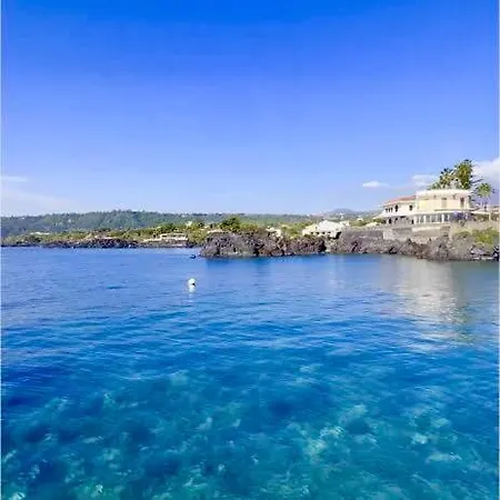 Mediterranea Daire *