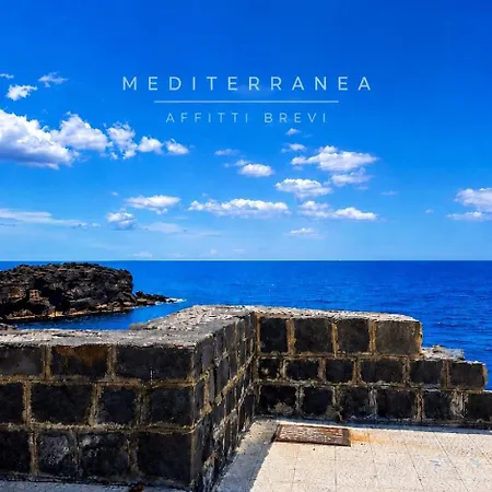 Mediterranea