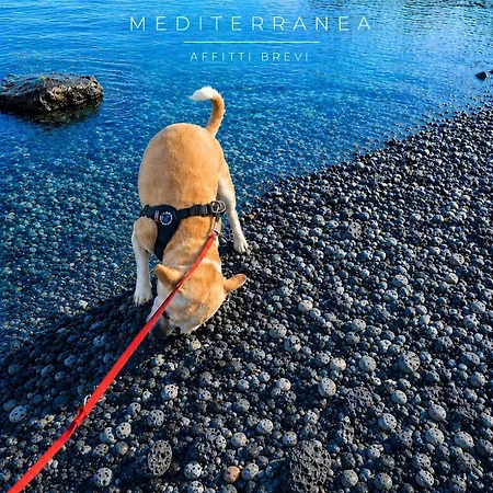 Mediterranea Apartamento