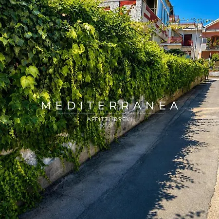 Mediterranea *